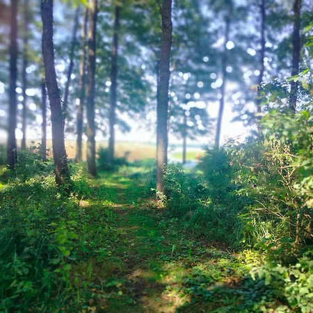 Nyaraló Nad Jeziorem Kobyłocha